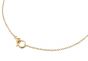 Boccia 08050-0260 Halskette aus Titan goldplattiert 58cm lang