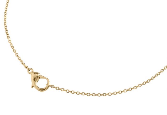 Boccia Titanium 08048-0242 Halskette aus Titan goldplattiert Länge: 42cm
